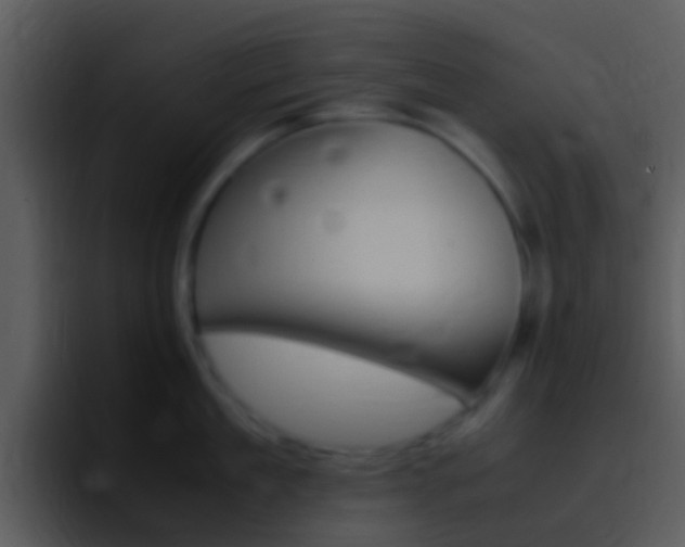 X0000096980909200802080857