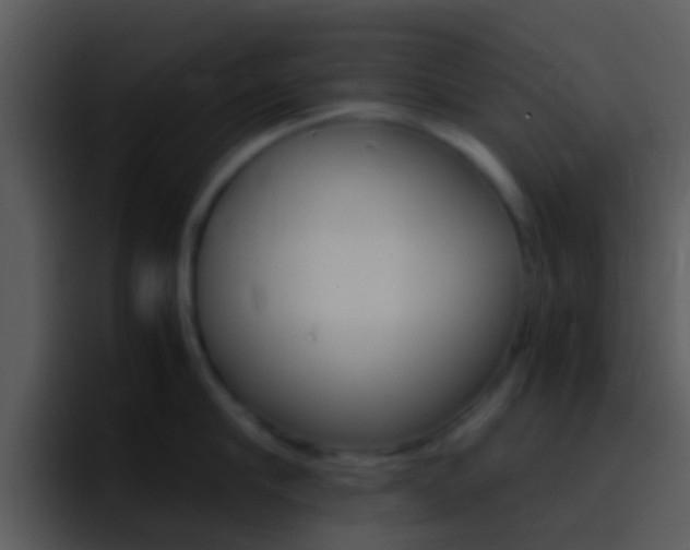 X0000096980910200802080857