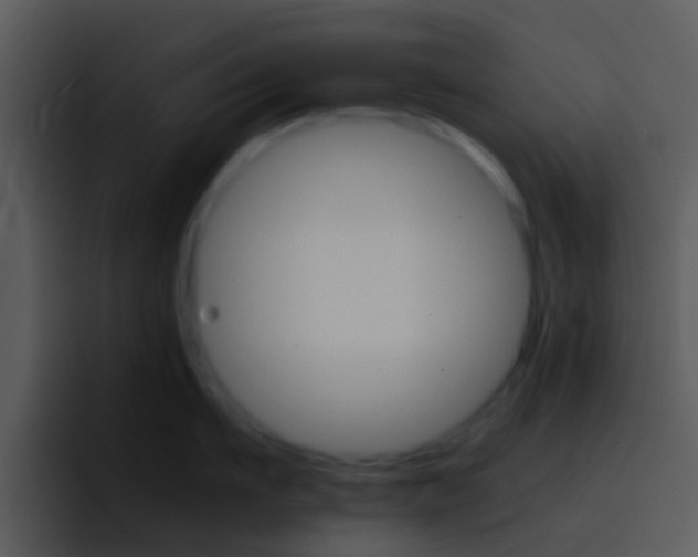 X0000096980911200802080857
