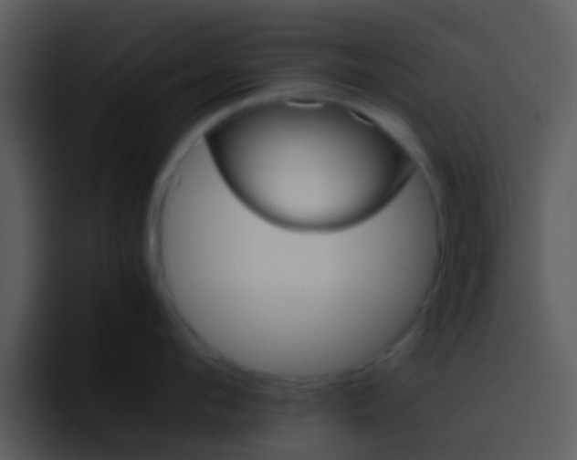 X0000096980912200802080857