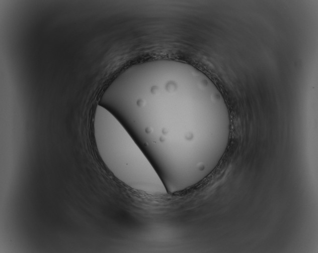 X0000096980913200802080856