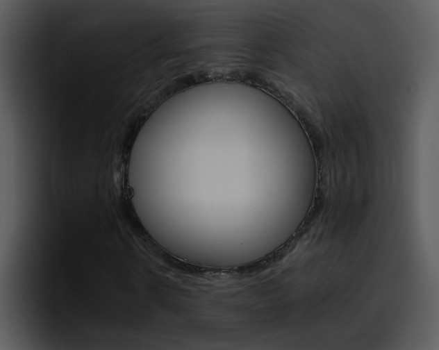 X0000096980914200802080856