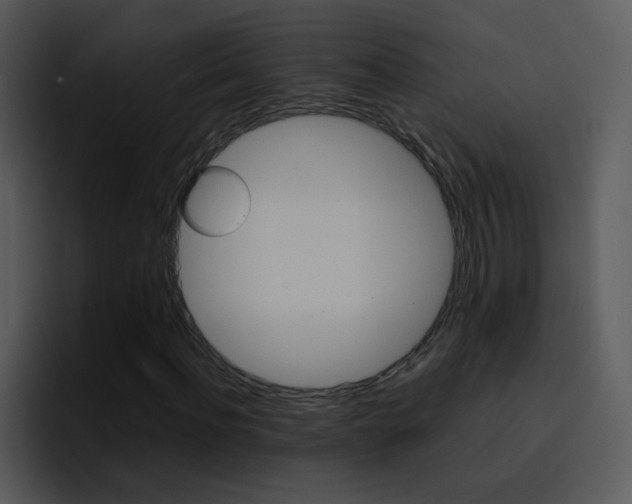 X0000096980916200802080856