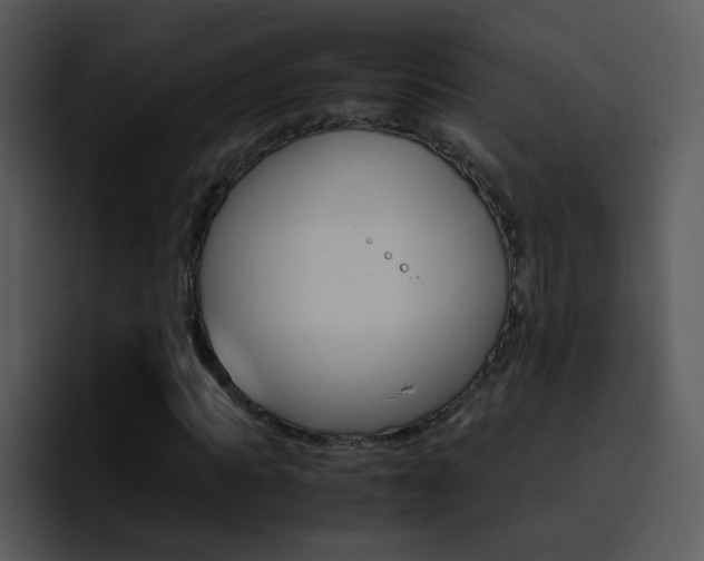 X0000096980917200802080856