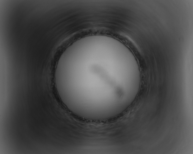 X0000096980919200802080856