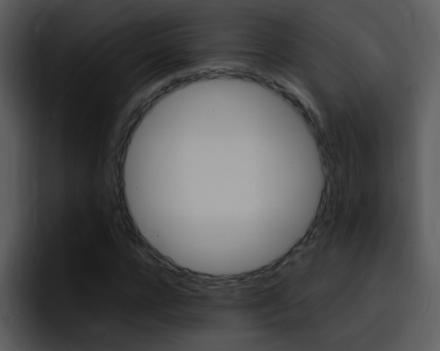 X0000096980920200802080856