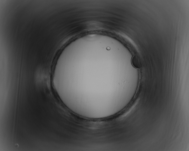 X0000096980921200802080856