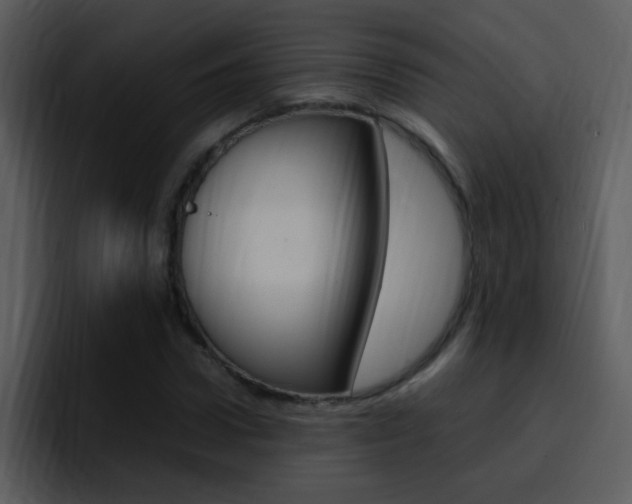 X0000096980922200802080856