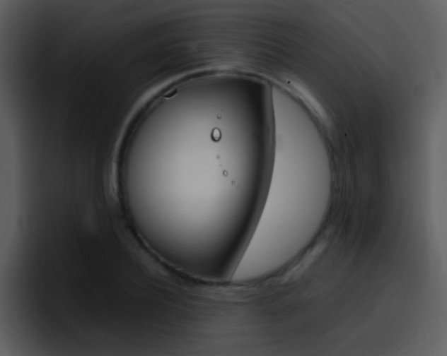 X0000096980932200802080856