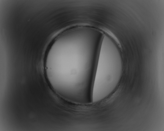 X0000096980935200802080856
