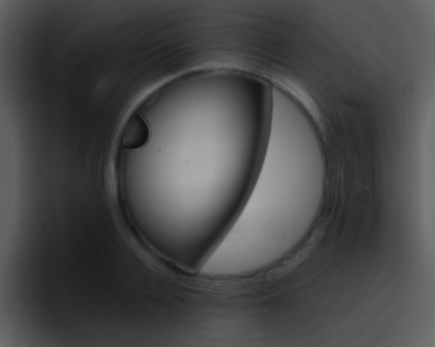 X0000096980936200802080856