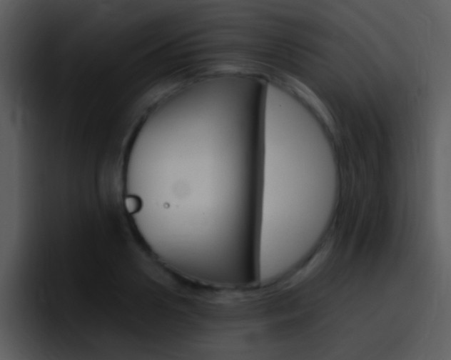 X0000096980938200802080856