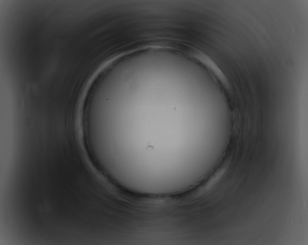 X0000096980939200802080856