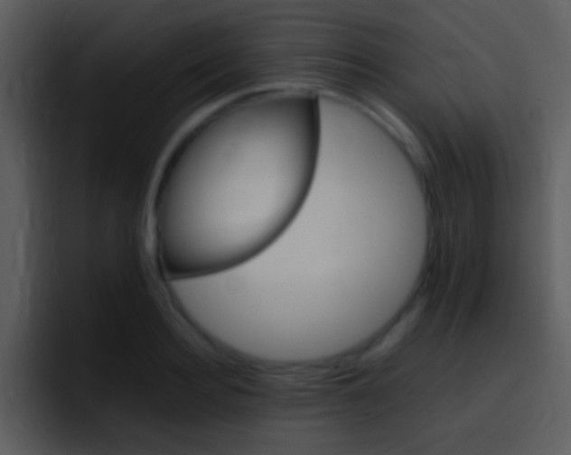 X0000096980940200802080856