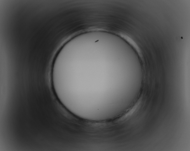 X0000096980941200802080856