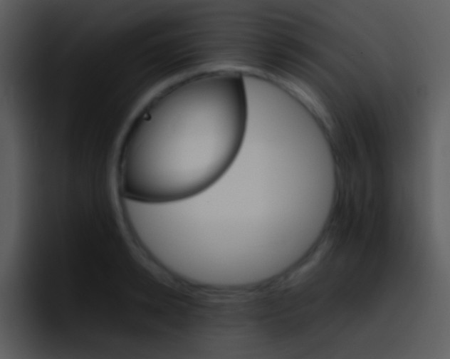 X0000096980942200802080856