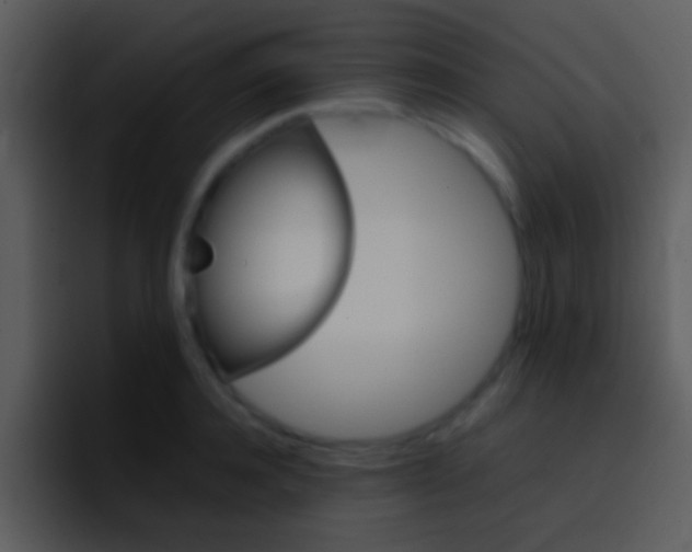 X0000096980944200802080856