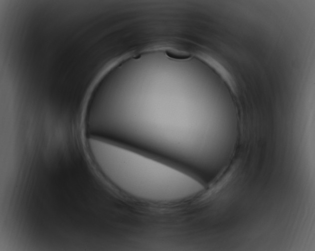 X0000096980949200802080856
