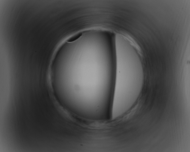 X0000096980952200802080857