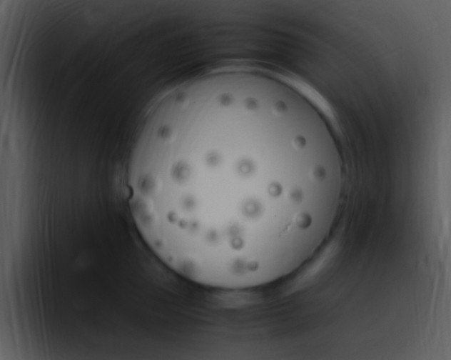 X0000096980953200802080857