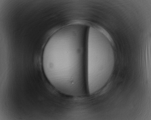 X0000096980954200802080857
