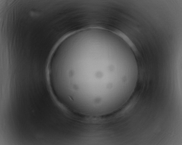 X0000096980955200802080857