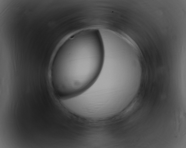 X0000096980956200802080857