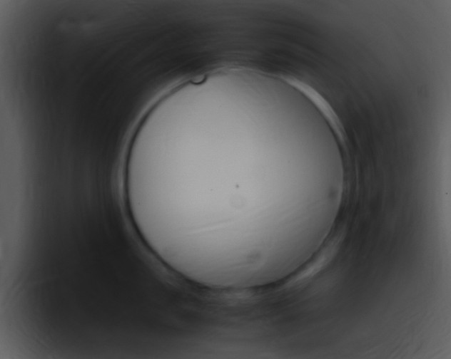 X0000096980957200802080857