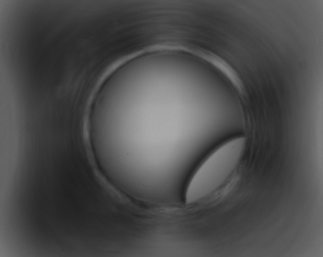 X0000096980958200802080857