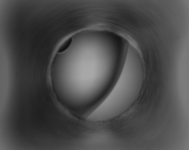 X0000096980960200802080857