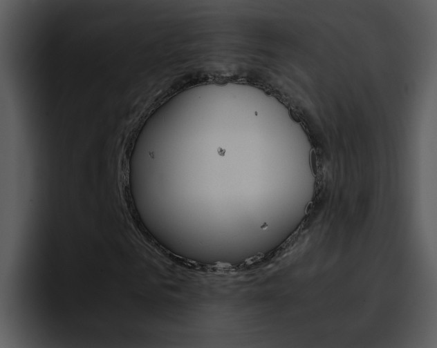 X0000096980961200802080856