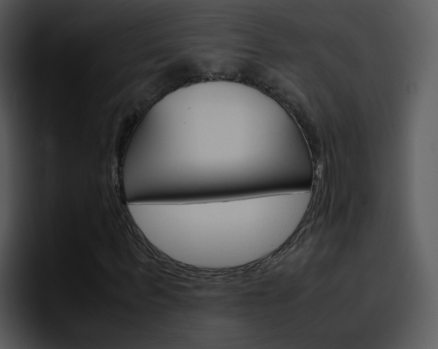 X0000096980963200802080856