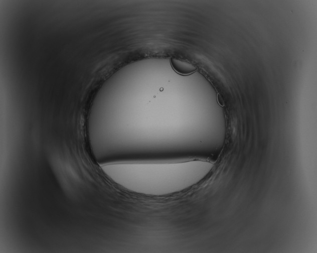 X0000096980964200802080856