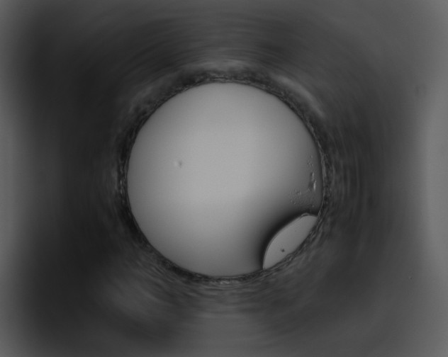 X0000096980966200802080856