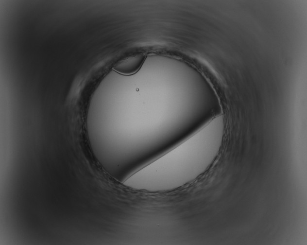 X0000096980967200802080856