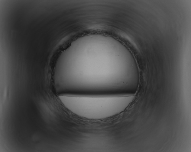 X0000096980968200802080856