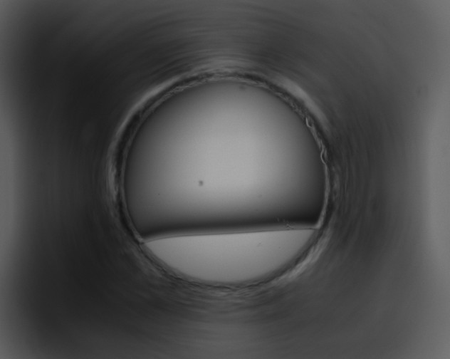X0000096980973200802080856