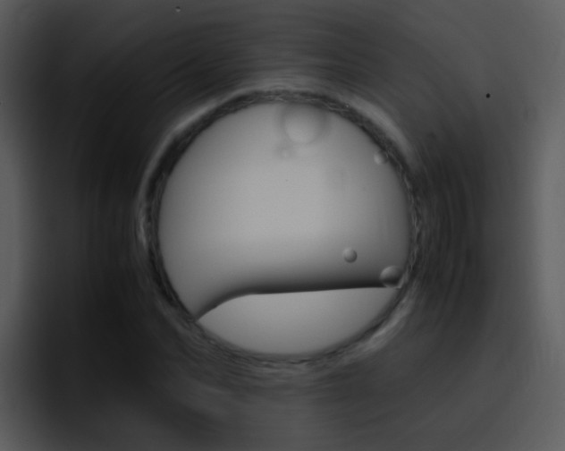 X0000096980974200802080856