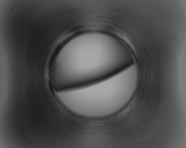 X0000096980979200802080856