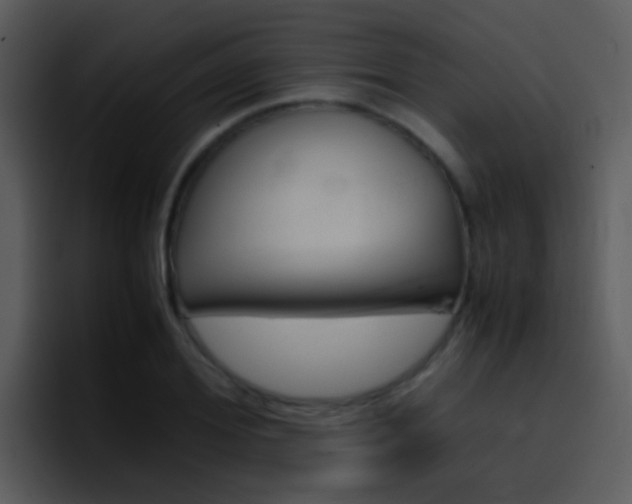 X0000096980980200802080856