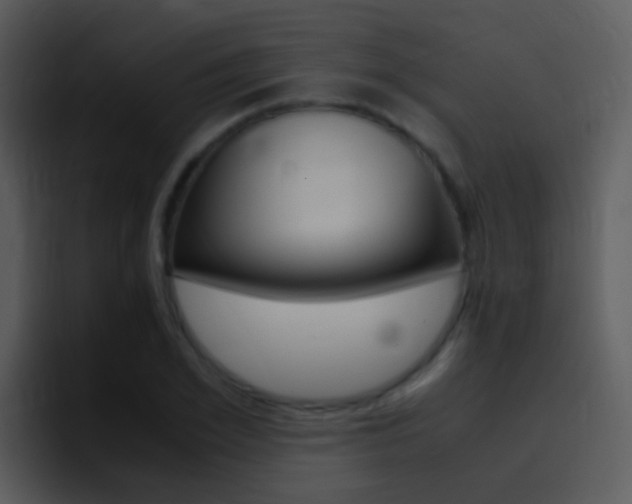 X0000096980981200802080856