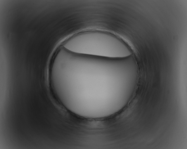 X0000096980982200802080856