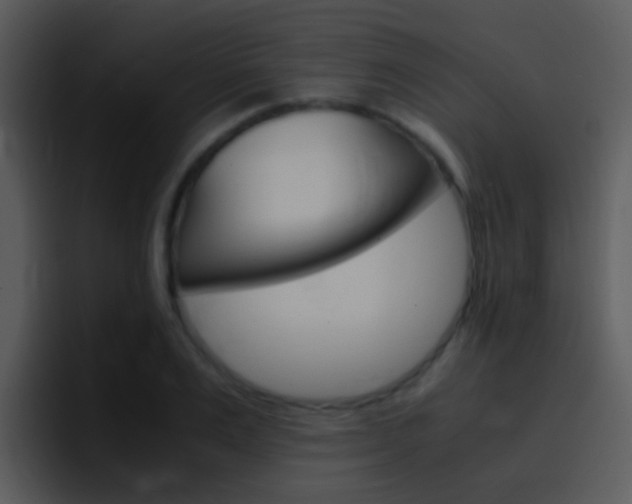 X0000096980983200802080856