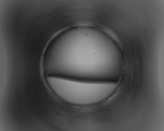 X0000096980984200802080856