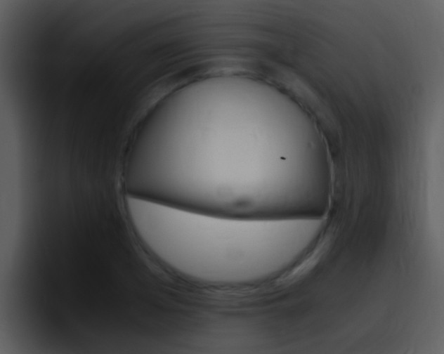 X0000096980985200802080856
