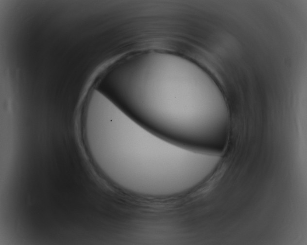 X0000096980987200802080856