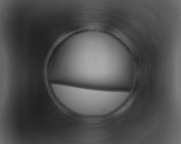 X0000096980989200802080856