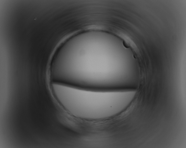 X0000096980992200802080856