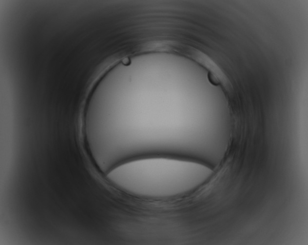 X0000096980994200802080856