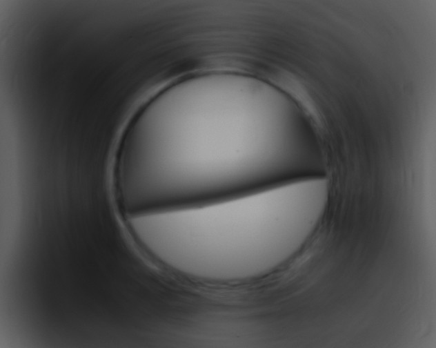 X0000096980995200802080856